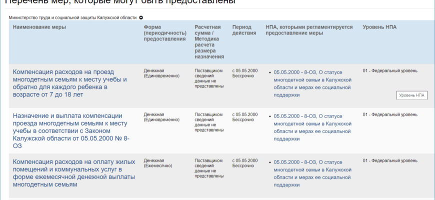 Учет нуждающихся в соцподдержке хотят вести на единой онлайн-платформе