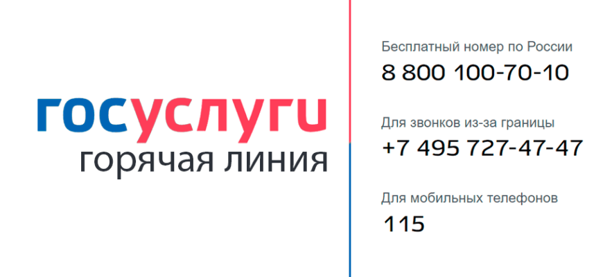 Номера телефонов, почта и соцсети